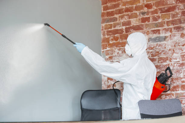 Best Airborne Mold Testing  in Kahuku, HI