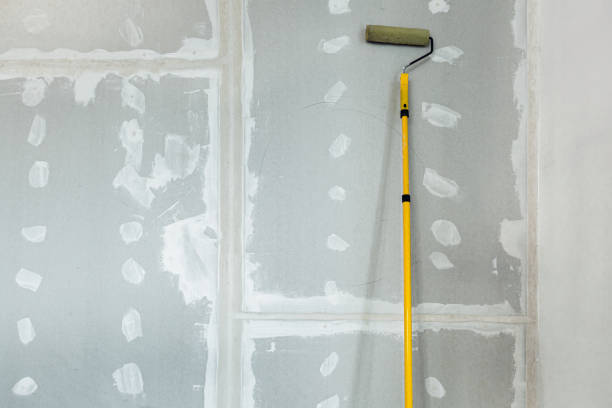 Best Real Estate Mold Inspection  in Kahuku, HI