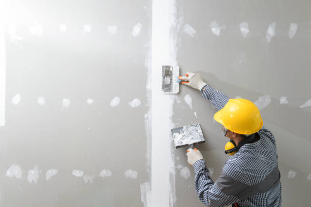 Best Asbestos and Lead Testing During Mold Inspection  in Kahuku, HI