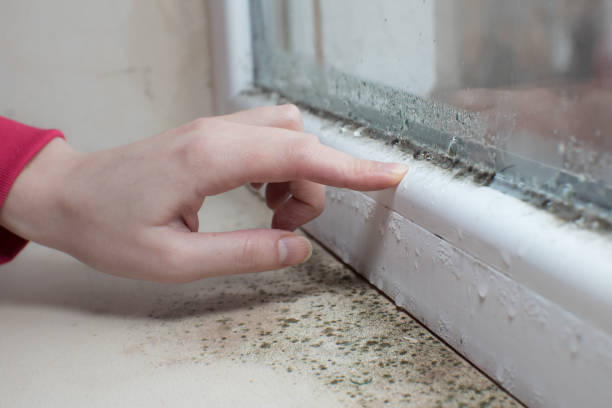 Best Biohazard Mold Removal  in Kahuku, HI