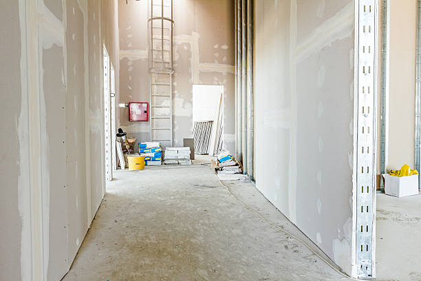 Mold Odor Removal Services in Kahuku, HI
